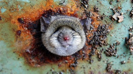 Las fotos más llamativas de los últimos 7 días que querrá ver una y otra vez