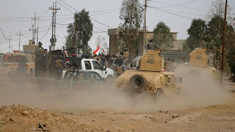 Video: Un yihadista se esconde de los soldados iraquíes en un gallinero 