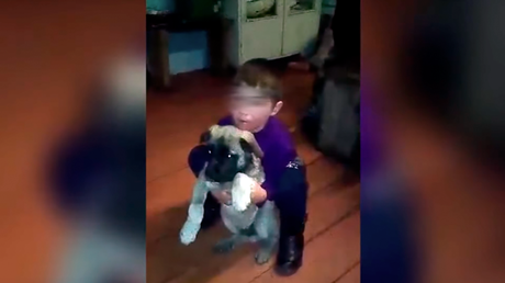 Un niño de 5 años sobrevive en un bosque siberiano lleno de lobos protegido por dos perros
