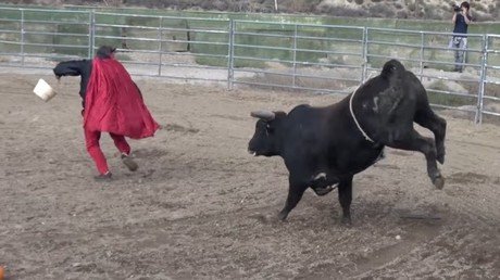 Planta cara a un toro de rodeo disfrazado de demonio y acaba con la mandíbula rota 