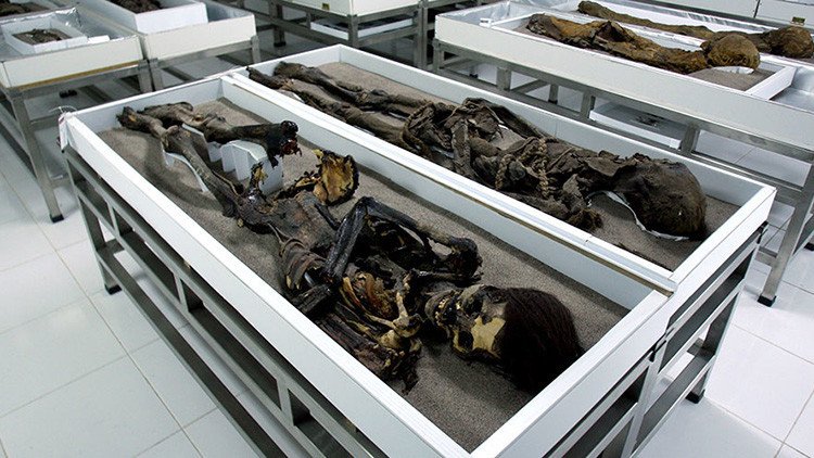 FOTOS: Las momias más antiguas del mundo 'se derriten' en Chile