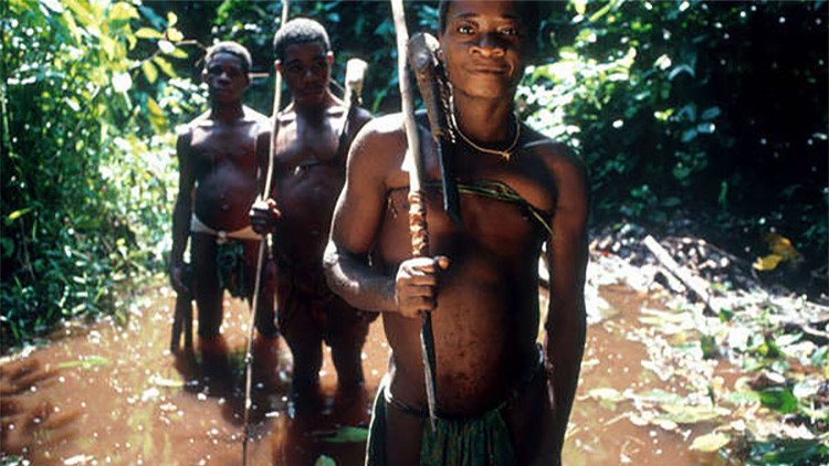 "Volarán las balas si vuelven al bosque": La familia Rothschild 'declara la guerra' a indígenas