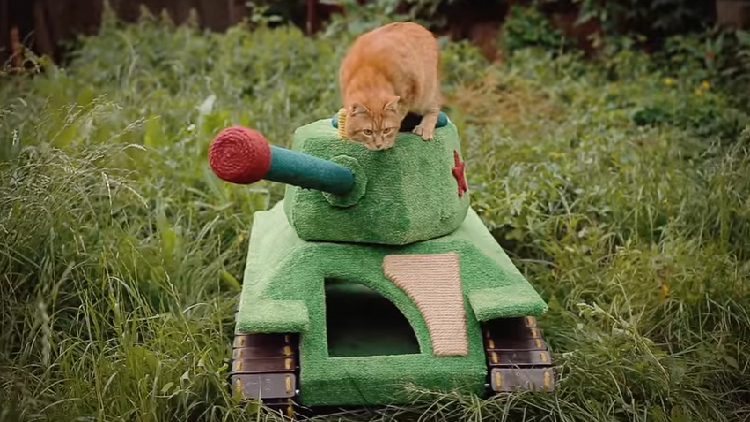 ¡En Rusia es posible!: Un gato siberiano conduce su propio tanque militar