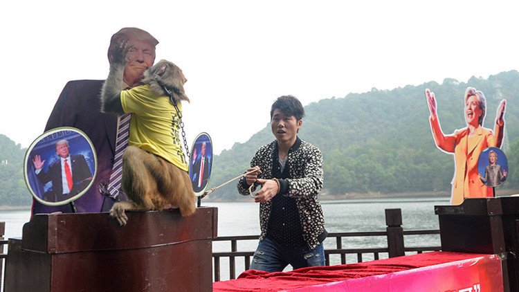 Un 'mono-profeta' chino anuncia el nuevo presidente de EE.UU.