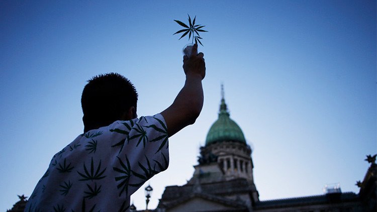 Argentina está a un paso de autorizar el uso medicinal del cannabis