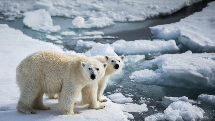 Rusia pierde varias islas a causa del calentamiento global