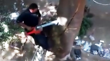 Intentaba derribar un árbol con una motosierra y todo terminó mal