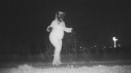 FOTOS: Buscan capturar a un animal salvaje y descubren unas imágenes muy extrañas