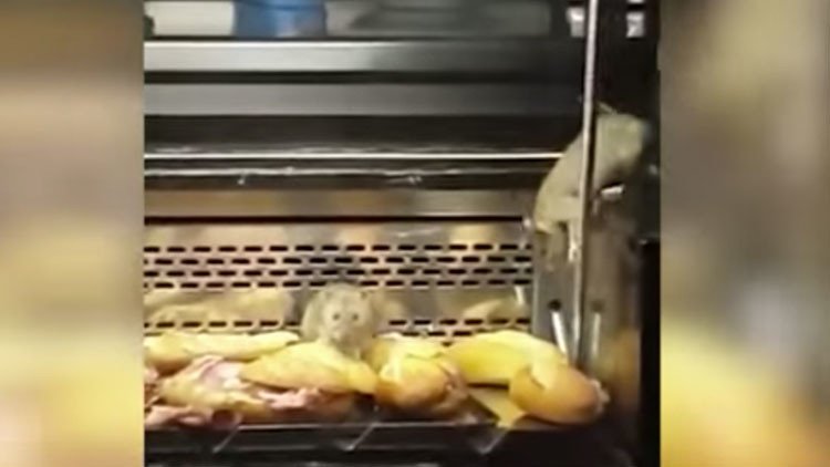 'Ratatouille': Clausuran una panadería madrileña al descubrir ratas en los mostradores (VIDEO)