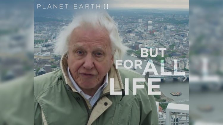 La aclamada serie documental de la BBC sobre naturaleza finaliza con un emotivo y urgente mensaje