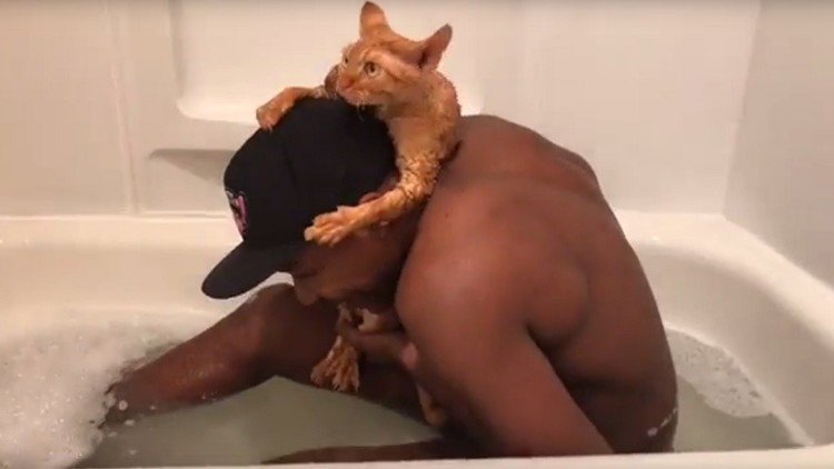 Un rapero improvisa un rap para calmar a su gato mientras se bañan
