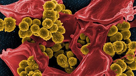 Hallan una peligrosa 'superbacteria' resistente a los antibióticos