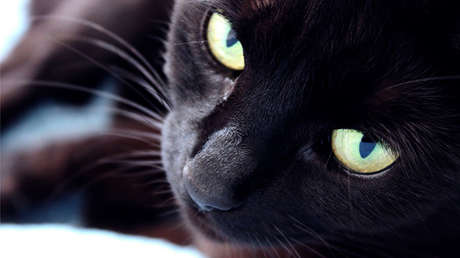 TEST: ¿Sabe espantar la mala suerte con ayuda de las supersticiones rusas?