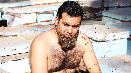 Se deja crecer una 'barba de abejas' para demostrar que esos insectos no son agresivos (VIDEO)