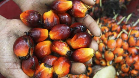 Descubren cuál es la alimentación que dispara el riesgo de metástasis