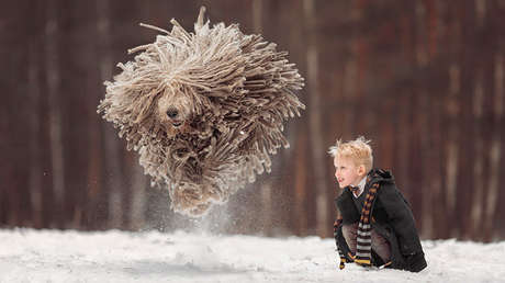 FOTOS: Los niños pequeños y los perros grandes