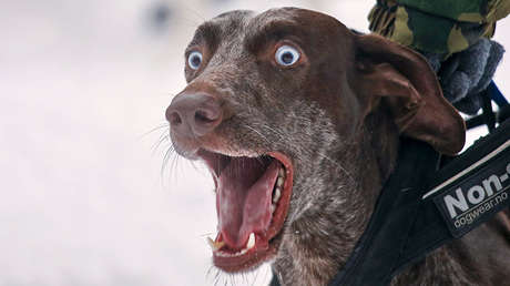 Las imágenes más llamativas que nos dejó esta semana