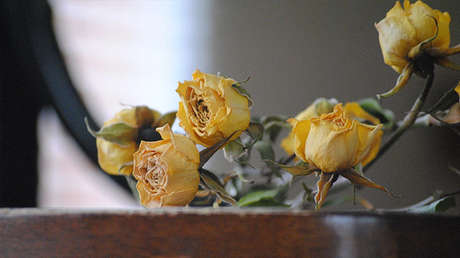 Publica en Facebook dónde encontrar sus regalos de Navidad justo antes de suicidarse