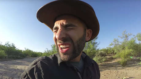 ADVERTENCIA, VIDEO FUERTE: Las consecuencias de la picadura de insecto más dolorosa