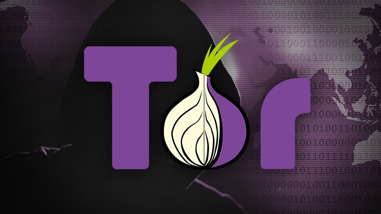 La red de anonimato TOR: el bastión de los 'hackers' rusos, según cree EE.UU.