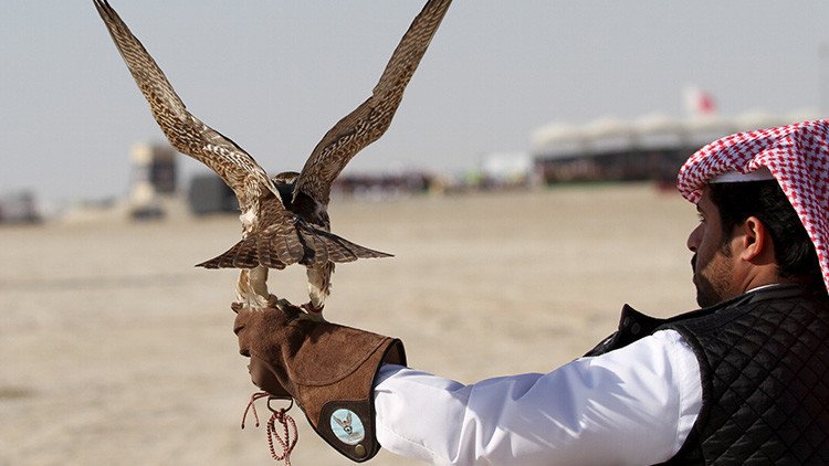 FOTO: Los internautas se ríen del príncipe saudita que compró 80 billetes de avión para sus halcones