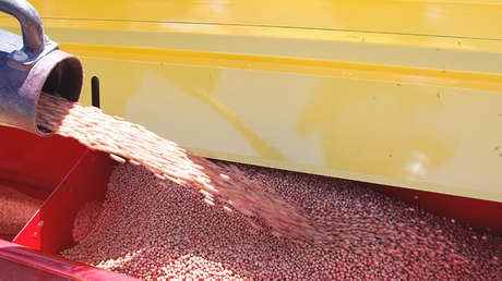 Argentina anuncia una rebaja a los impuestos por exportaciones de soja