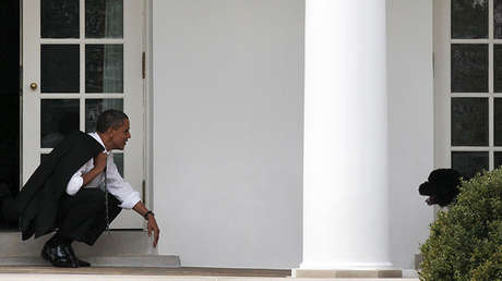 La perra de los Obama muerde a una joven en la Casa Blanca (FOTOS)