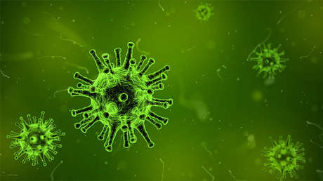 Científicos logran detectar una 'conversación' entre virus