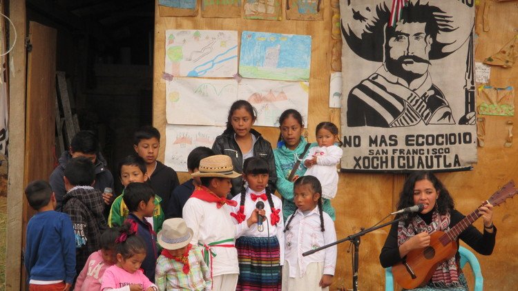 Un proyecto hermana la música del son jarocho y los pueblos indígenas en resistencia en México