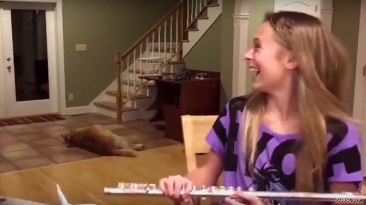 La insólita reacción de un perro al sonido de la flauta de su dueña