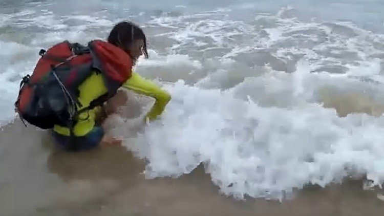 Una turista sacó un tiburón del mar para una foto y esto fue lo que pasó