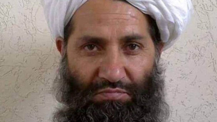 "Plantar árboles": el insólito llamamiento del líder de los talibanes
