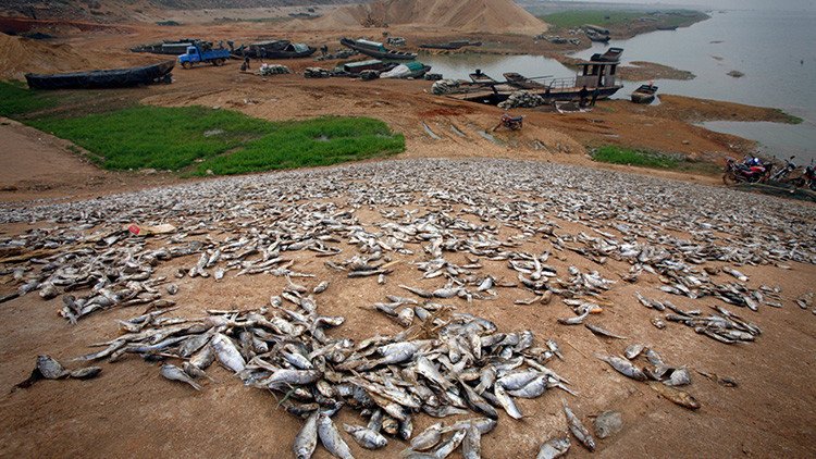 Un grave peligro medioambiental del que nadie habla