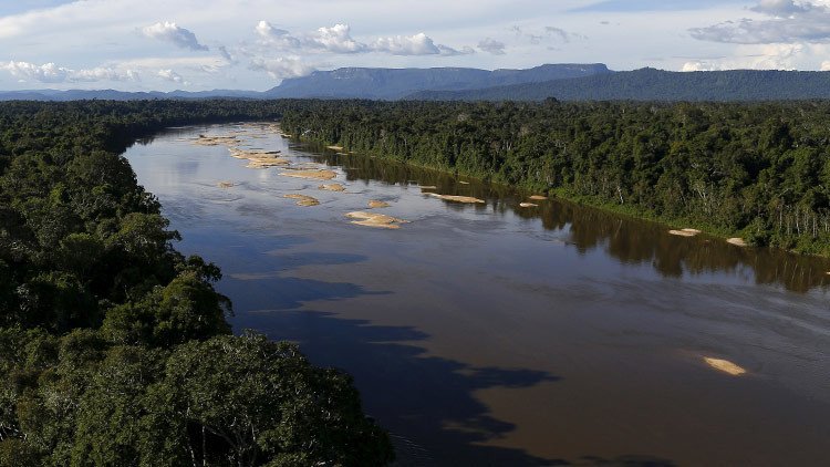 Investigadores aseguran que la selva amazónica no es virgen