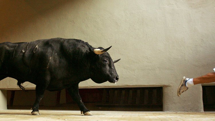 FUERTE VIDEO: Un toro embiste a un guardia y lo lanza por los aires en Venezuela