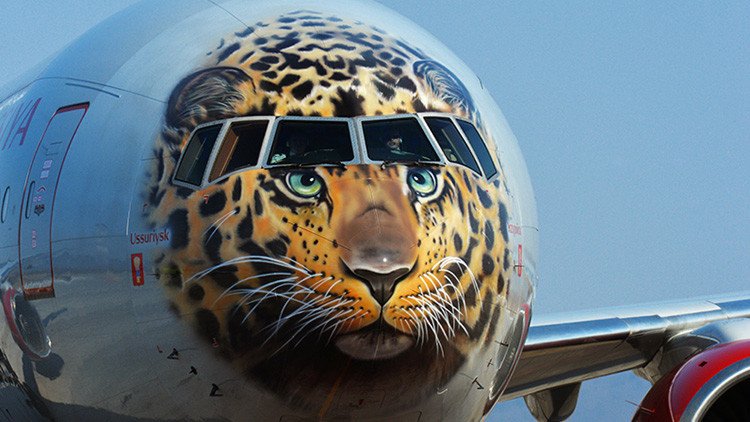 'Leopardoavión': aerolínea rusa decora un Boeing 777 como un leopardo para salvarlo de la extinción