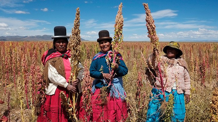 Mujeres bolivianas avanzan en su lucha por ocupar cargos en el Estado