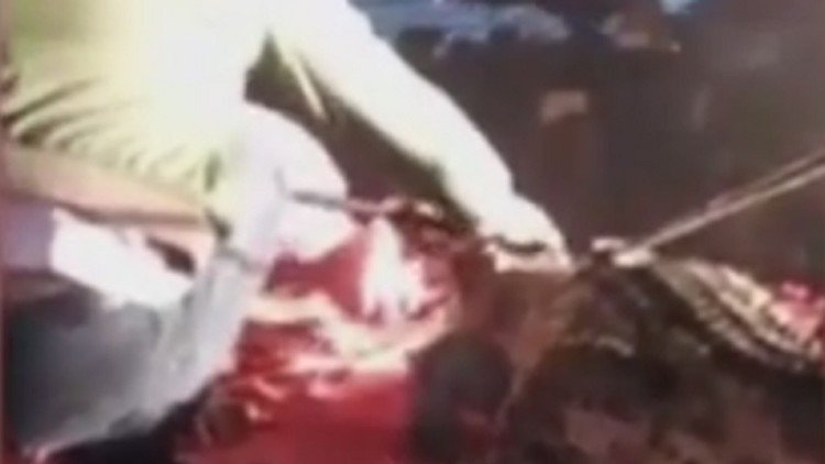 FUERTES IMÁGENES: Un domador de circo sufre el brutal ataque de un cocodrilo