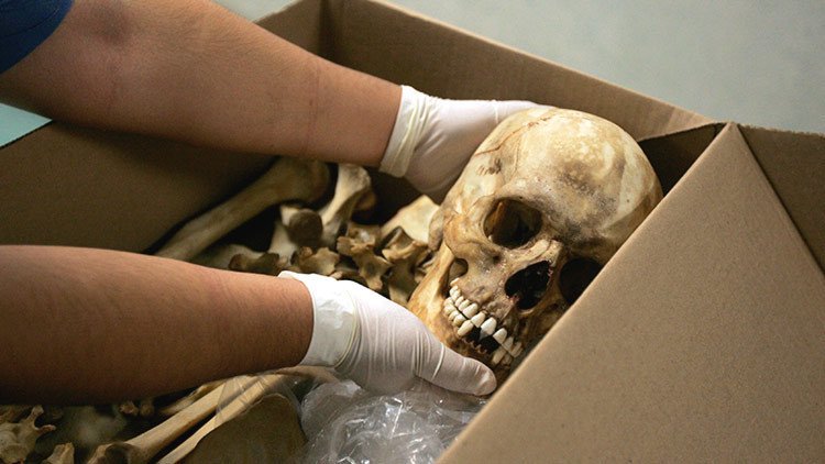 Hallan más de 250 cráneos en un cementerio de cárteles de la droga en México
