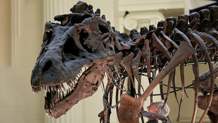 Un revolucionario estudio científico pone 'patas arriba' la clasificación actual de los dinosaurios 