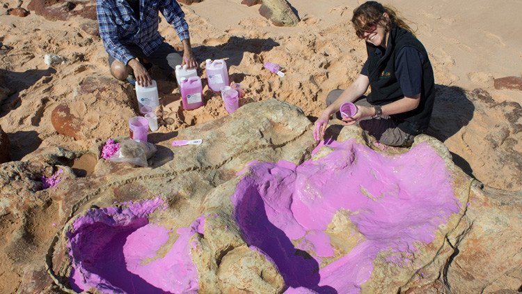 Los dinosaurios más grandes dejaron sus huellas en una costa 'jurásica' de Australia