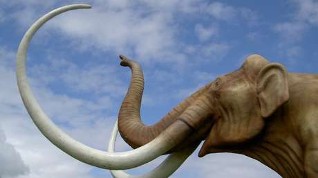 "Hoy es un gran experimento": La insólita consecuencia del calentamiento global que puede afectarnos