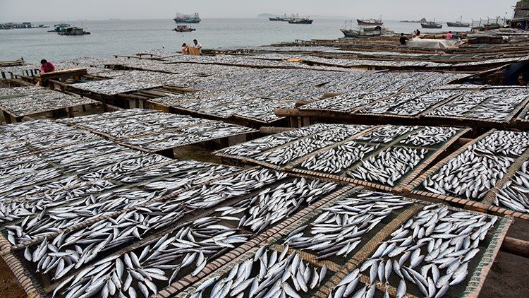 China eleva la tensión por sus agresivos métodos de pesca en aguas internacionales