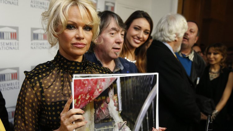 Pamela Anderson insta a Francia a conceder asilo político a Julian Assange