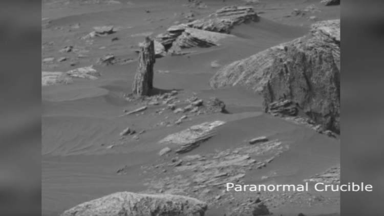 ¿Creció un árbol en Marte? Un entusiasta halla un 'tronco' en el planeta rojo