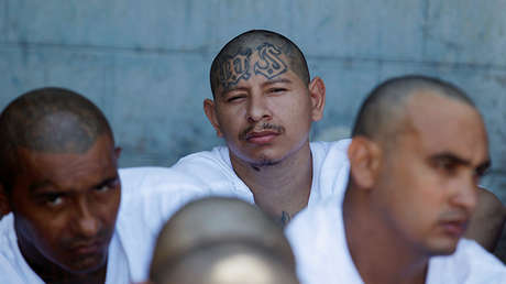 Trump culpa a Obama de la expansión de la Mara Salvatrucha en EE.UU.
