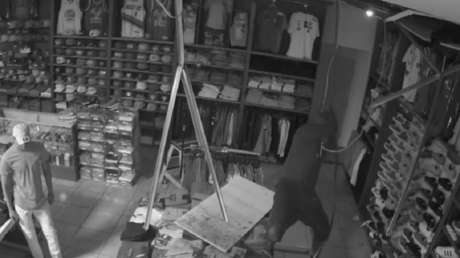 Este ladrón confió en sus limitadas habilidades para trepar y casi queda atrapado en una tienda