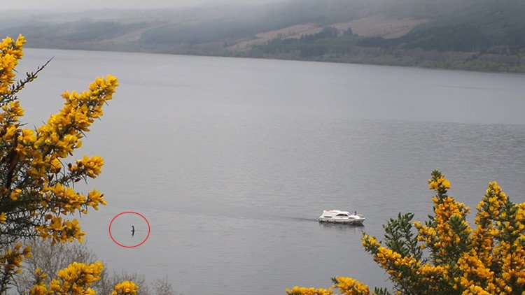 Un nuevo avistamiento del monstruo del lago Ness reaviva la leyenda (VIDEO) 