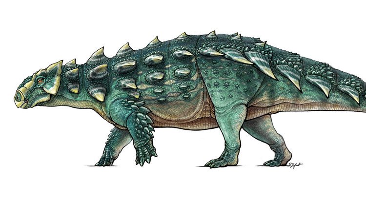¿Un dragón de 'Juego de Tronos'?: Hallan un fósil de dinosaurio al que se le ve la cara (Foto)