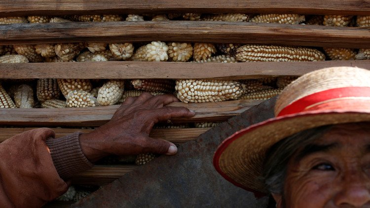 México: Aumenta la economía informal, que ya ocupa casi al 60% de los trabajadores